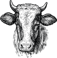 Black Angus Steaks Black Angus Steaks